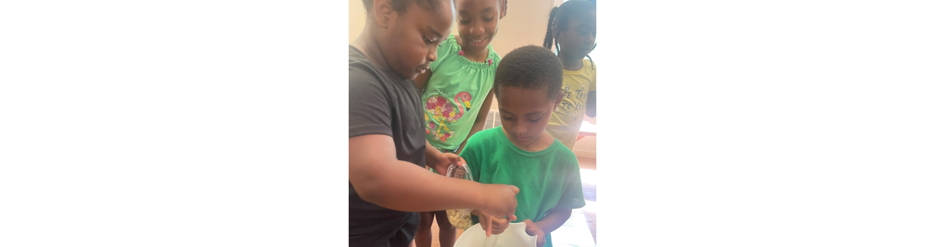 Fiber Relay Activity